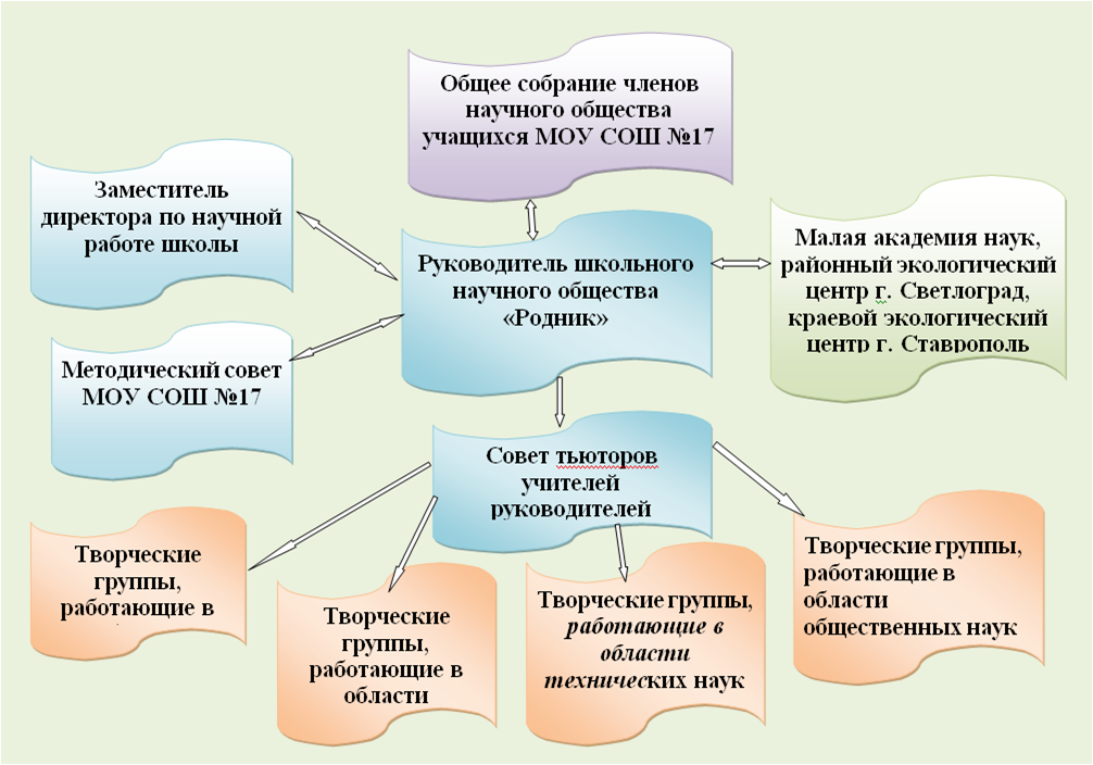 Структура школьного научного общества